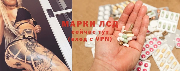 прущие грибы Гусев
