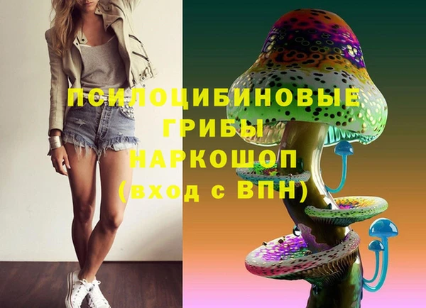 прущие грибы Гусев