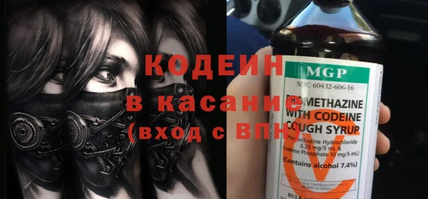 соль ск Дмитриев